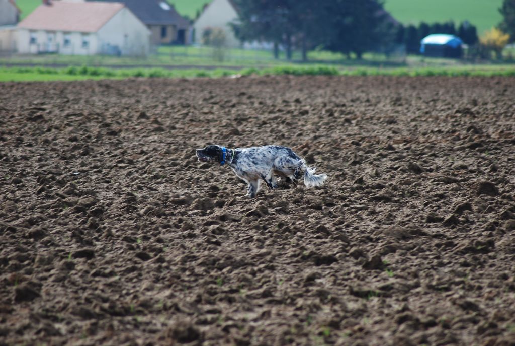 Entrainment dans le nord pour LIZENN